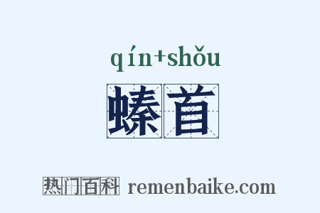 螓首是什么意思的图片